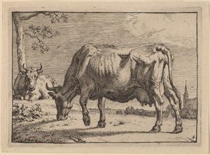 Legelő tehén alkotó: Paulus Potter