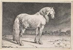 A fríz ló alkotó: Paulus Potter