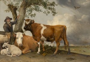 A bika alkotó: Paulus Potter