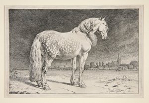 A frízlandi ló alkotó: Paulus Potter