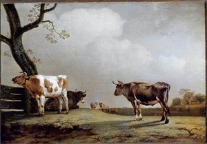 A rét. (olajfestmény alkotó: Paulus Potter