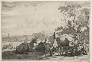 A Juhász alkotó: Paulus Potter