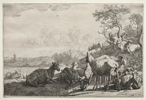 A Juhász alkotó: Paulus Potter
