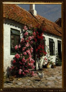 Hegymászó rózsák a farmon alkotó: Peder Monsted