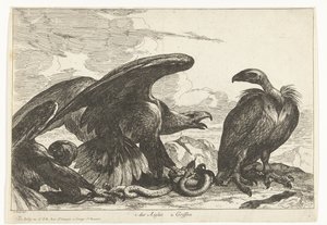 Keselyű és egy sas kígyóval 1. des Aigles 2. Griff (cím az objektumon) Madarak a Versailles-i menazsériából (sorozat címe)