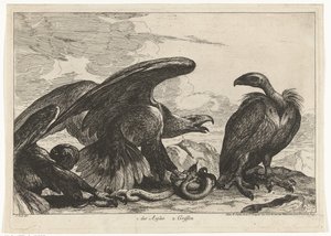 Keselyű és egy sas kígyóval 1. des Aigles 2. Griff (cím az objektumon) Madarak a versailles-i menazsériából (sorozat címe)