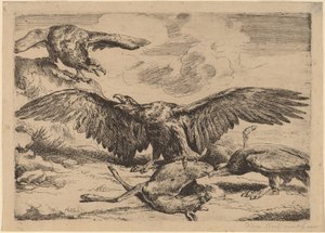 Eagles alkotó: Peeter Boel