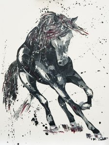 Jelentősége, 2016 alkotó: Penny Warden