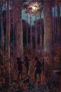 Az ausztrál erdő éjszaka, "holdozó" oposszumok (színes litho)