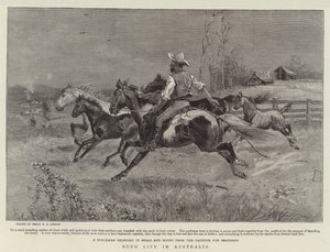 Bush élete Ausztráliában alkotó: Percy F.S. Spence