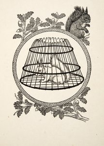 Egy menekült mókus, az Állatok száz anekdotájából, kocsma. 1924 alkotó: Percy J. Billingshurst