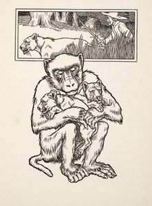 Segítségkérés, az Állatok száz anekdotájából, pub. 1924 (metszet) alkotó: Percy J. Billingshurst