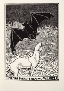 A denevér és a két menyét, a Fontaine Fables-ből, pub. 1905