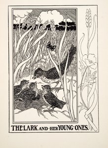 The Lark and her Young Ones, A Hundred Fables of Aesopus, pub.1903 (metszet) alkotó: Percy J. Billingshurst