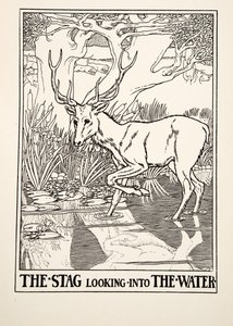 A vízbe nézõ szarvas, Aesopus száz meséjébõl, 1903. évi pub. (metszet) alkotó: Percy J. Billingshurst