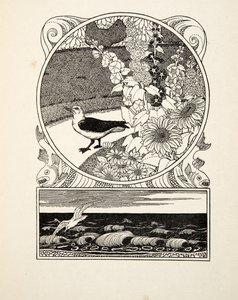 A szelíd sirály, az Állatok száz anekdotájából, pub. 1924 (metszet) alkotó: Percy J. Billingshurst