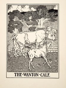 The Wanton Calf, A Hundred Fables of Aesop, pub.1903