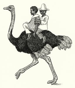 Strucc lovaglás (litho)
