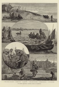 Halászati iparágaink: makrélahalászat Eastbourne-ben alkotó: Percy Robert Craft