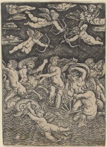 Galatea diadala alkotó: Peregrino da Cesena