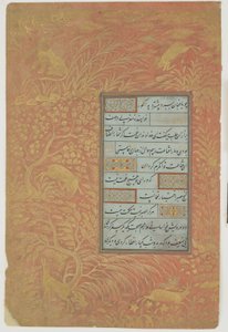 Kalligráfia fóliója, Irán, Safavid-dinasztia (tinta, átlátszatlan akvarell és arany papíron)