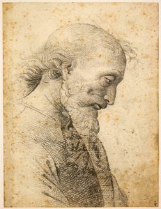 Férfi mellszobra, 1500-1503.