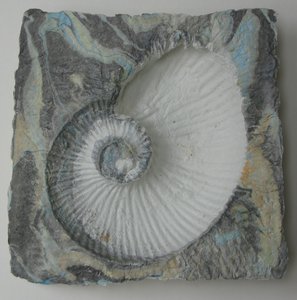 Helix 1