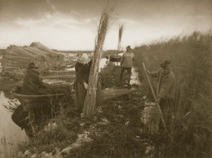 A nádszüret idején, Élet és táj a Norfolk Broads-on, 1886 körül