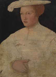Brandenburgi Mária őrgróf