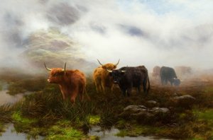 Moorland és Köd
