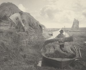 Ricking the Reed, 1886. Alkotók: Dr. Peter Henry Emerson, Thomas Frederick Goodall. alkotó: Peter Henry Emerson, Thomas Frederick Goodall