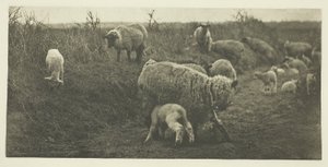 Lelkipásztori menet (Suffolk) alkotó: Peter Henry Emerson