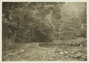 Egy csendes zug Beresford Dale-ben alkotó: Peter Henry Emerson