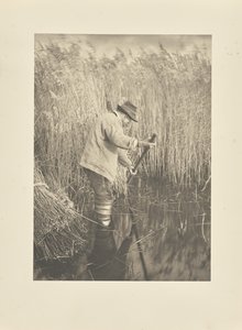  alkotó: Peter Henry Emerson