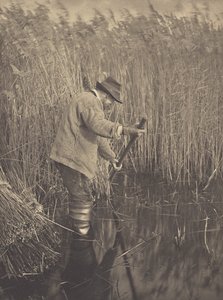  alkotó: Peter Henry Emerson