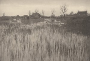 A Rushy Shore,1886 (fotó) alkotó: Peter Henry Emerson