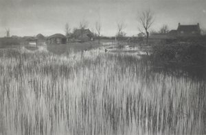 A Rushy Shore alkotó: Peter Henry Emerson