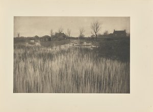 A Rushy Shore alkotó: Peter Henry Emerson