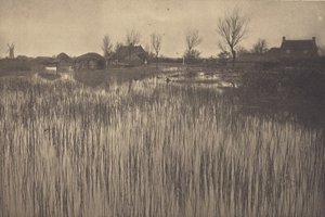 A Rushy Shore alkotó: Peter Henry Emerson