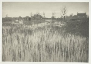 A Rushy Shore alkotó: Peter Henry Emerson