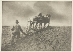 Merev húzás, (Suffolk) alkotó: Peter Henry Emerson