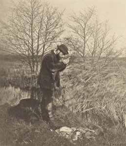 A Covert Cornerben. [Norfolk.] alkotó: Peter Henry Emerson