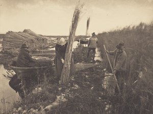  alkotó: Peter Henry Emerson