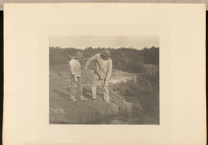 Angolnaszedés a suffolki vizekben alkotó: Peter Henry Emerson