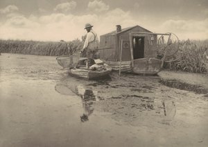  alkotó: Peter Henry Emerson