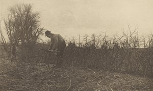 Kerítés Suffolkban alkotó: Peter Henry Emerson