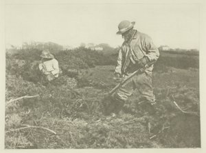 Furze-vágás egy suffolki közönségesen alkotó: Peter Henry Emerson