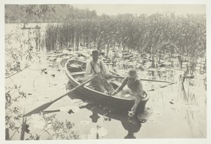 Tavirózsa gyűjtése alkotó: Peter Henry Emerson