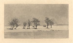Göcsörtös-tövis fák alkotó: Peter Henry Emerson