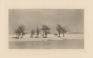 Göcsörtös tövisfák alkotó: Peter Henry Emerson